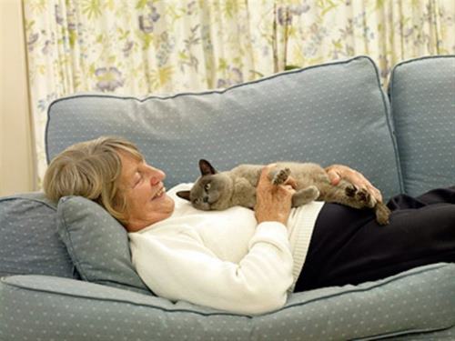 Cats and the elderly