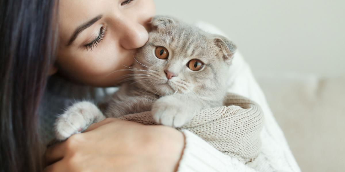 صورة مؤثرة لشخص يقبل قطته بلطف.