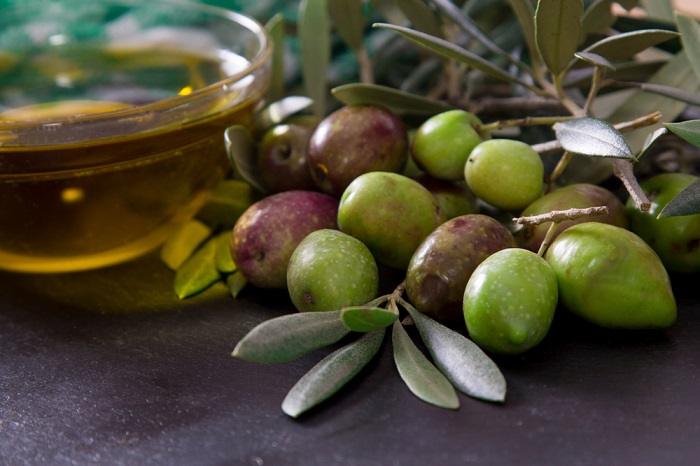 ثمرة الزيتون وزيت الزيتون