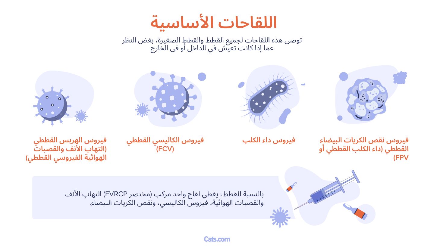 ما هي اللقاحات التي تحتاجها القطط؟