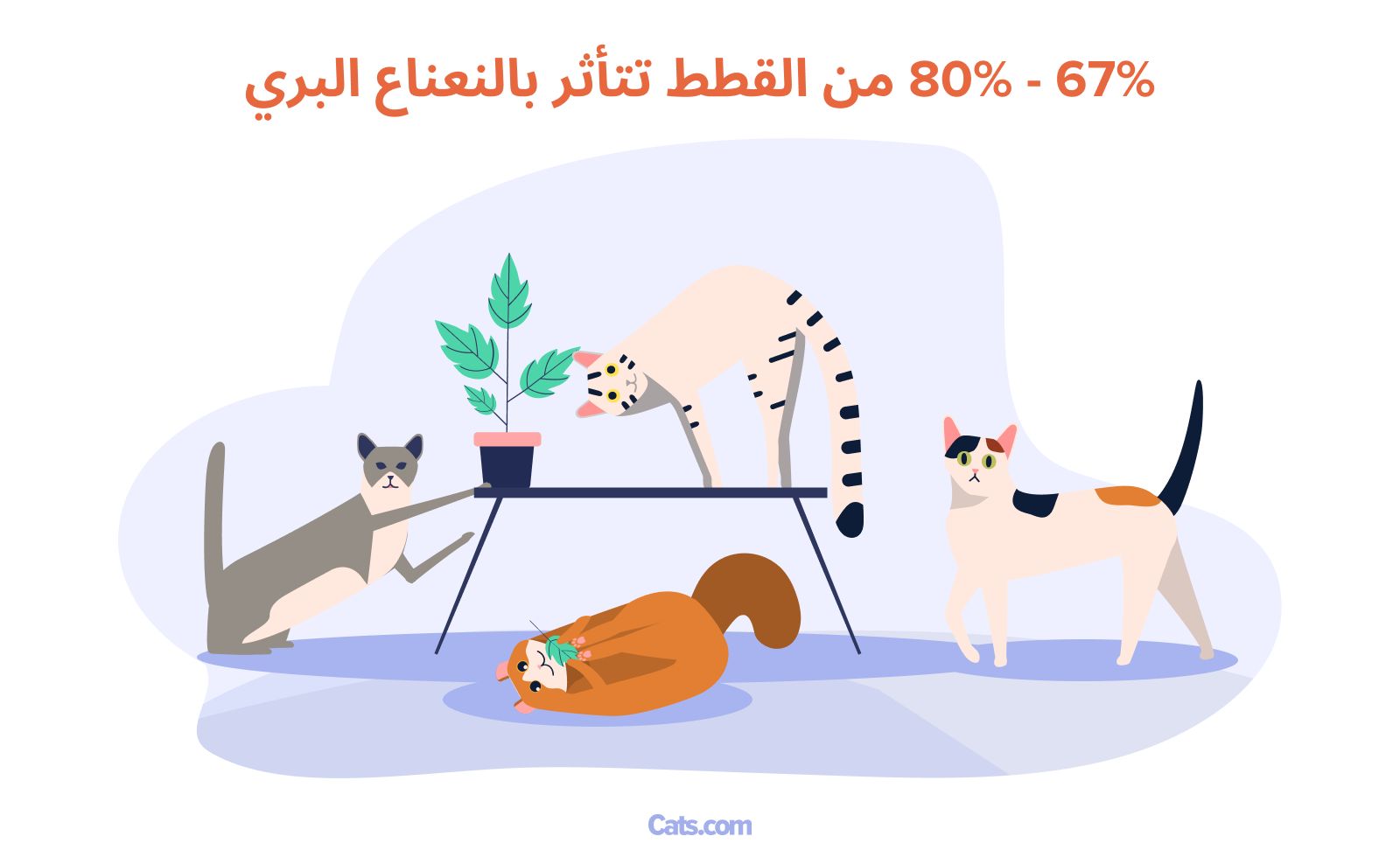 كيف يعمل نبات النعناع البري؟