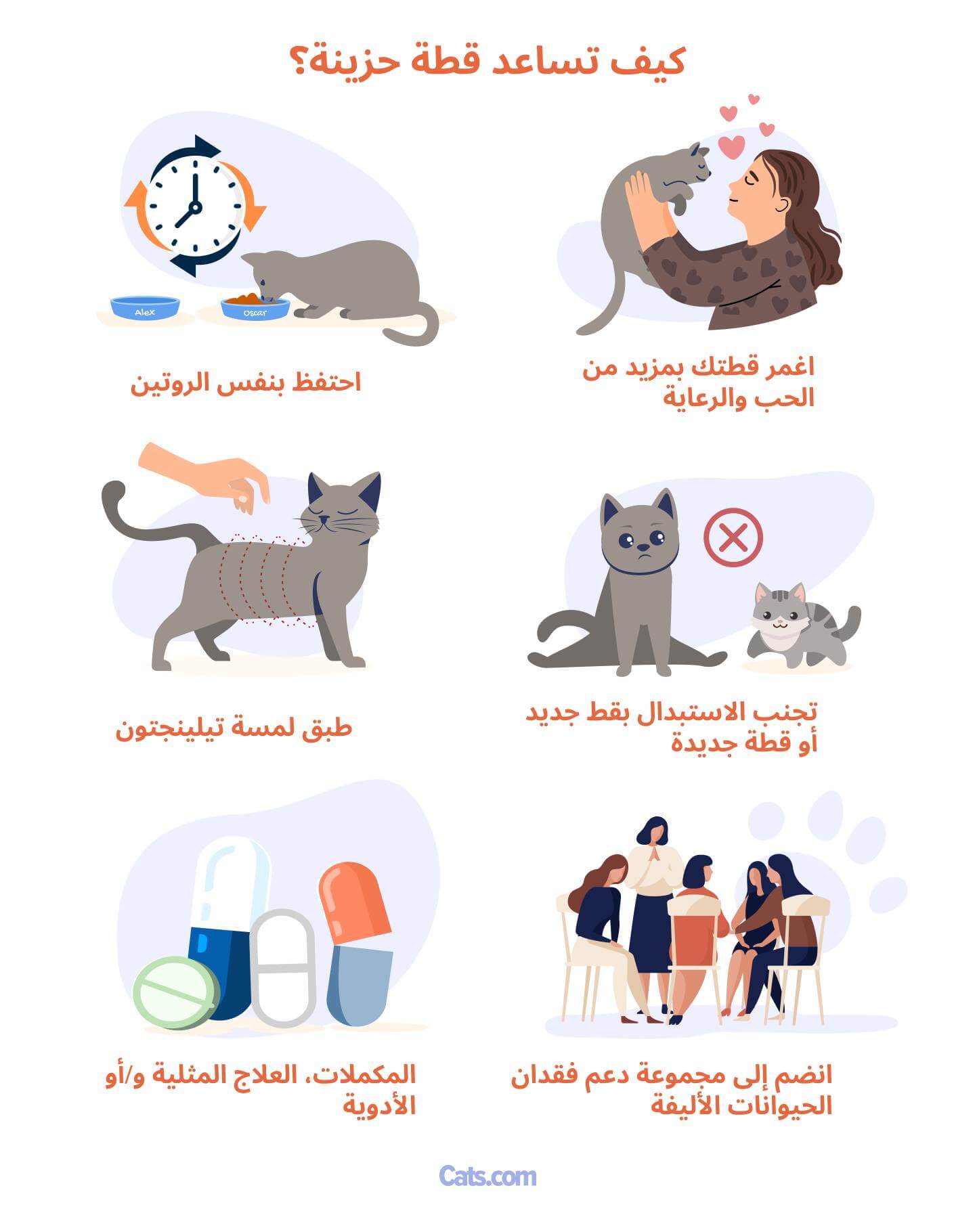 كيف تساعد قطتك الحزينة؟