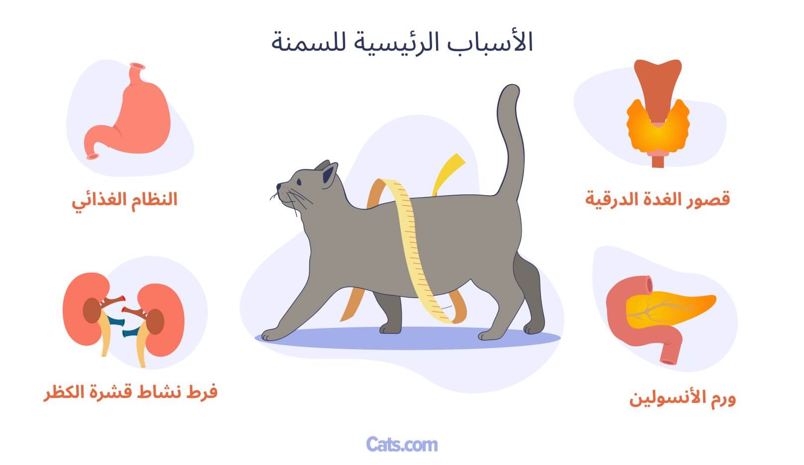 الأسباب