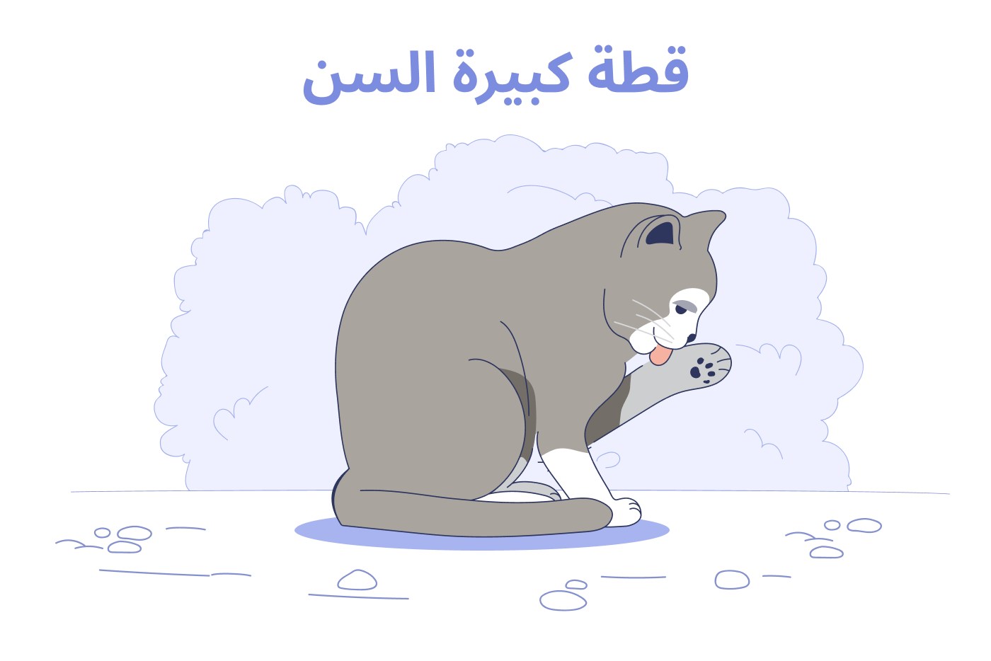 سنوات التخرج (11 سنة فأكثر)