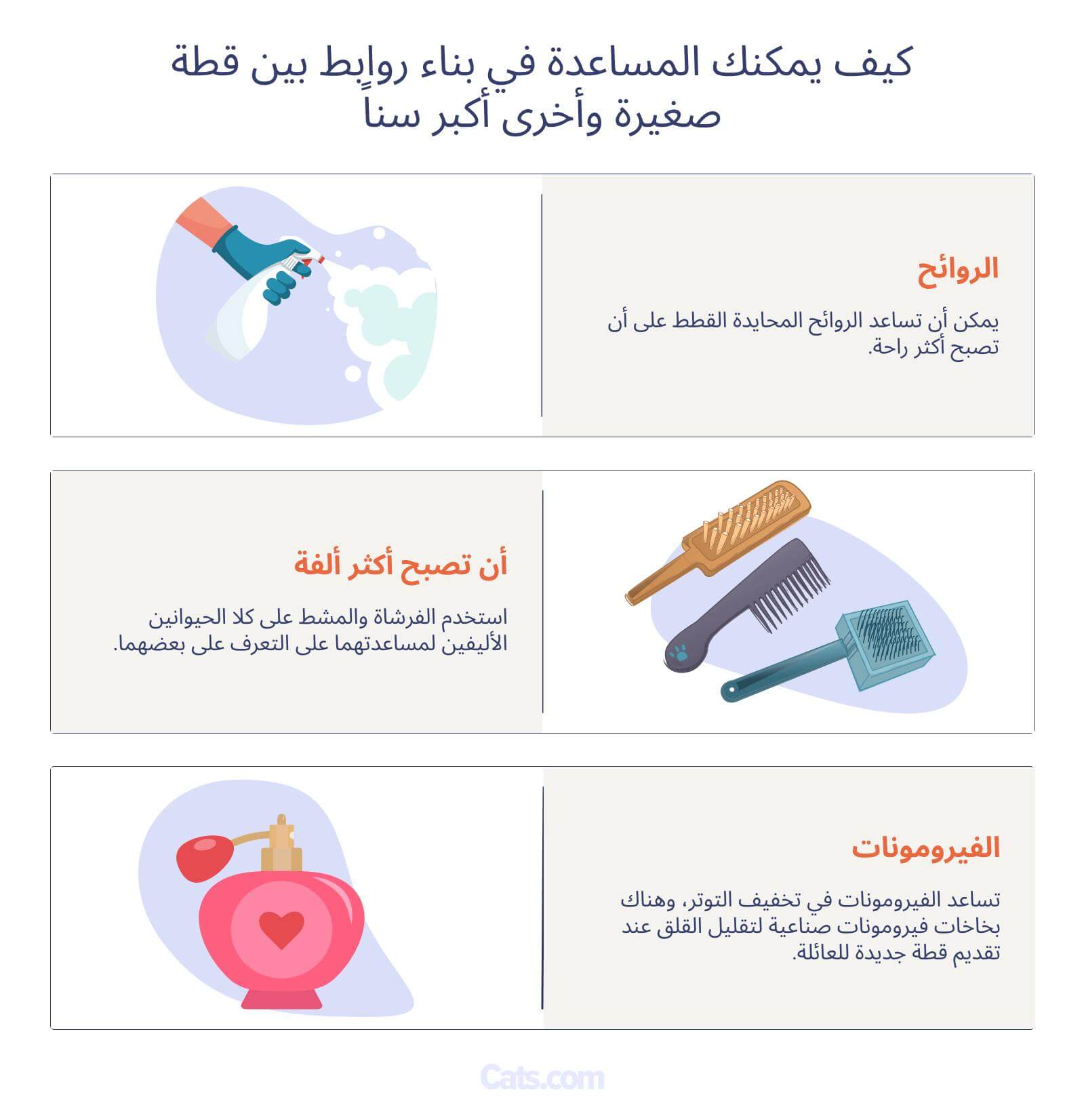علامات الارتباط