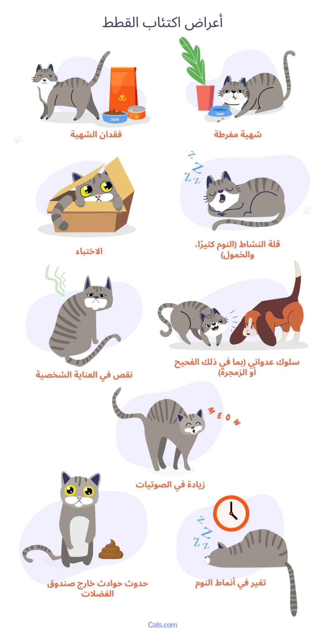 علامات الاكتئاب عند القطط