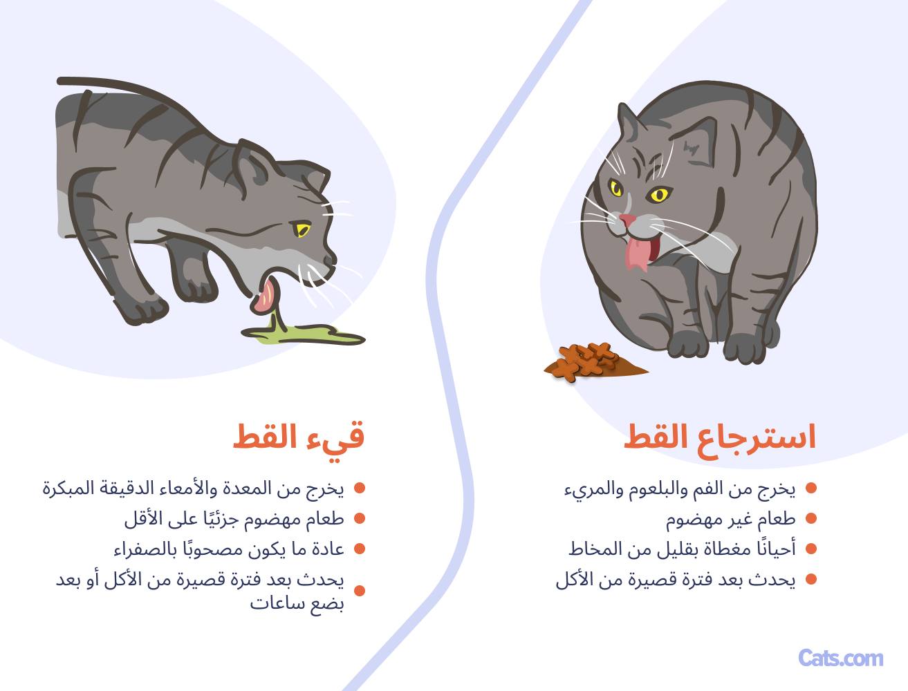القيء مقابل التجشؤ: أيهما أراه؟