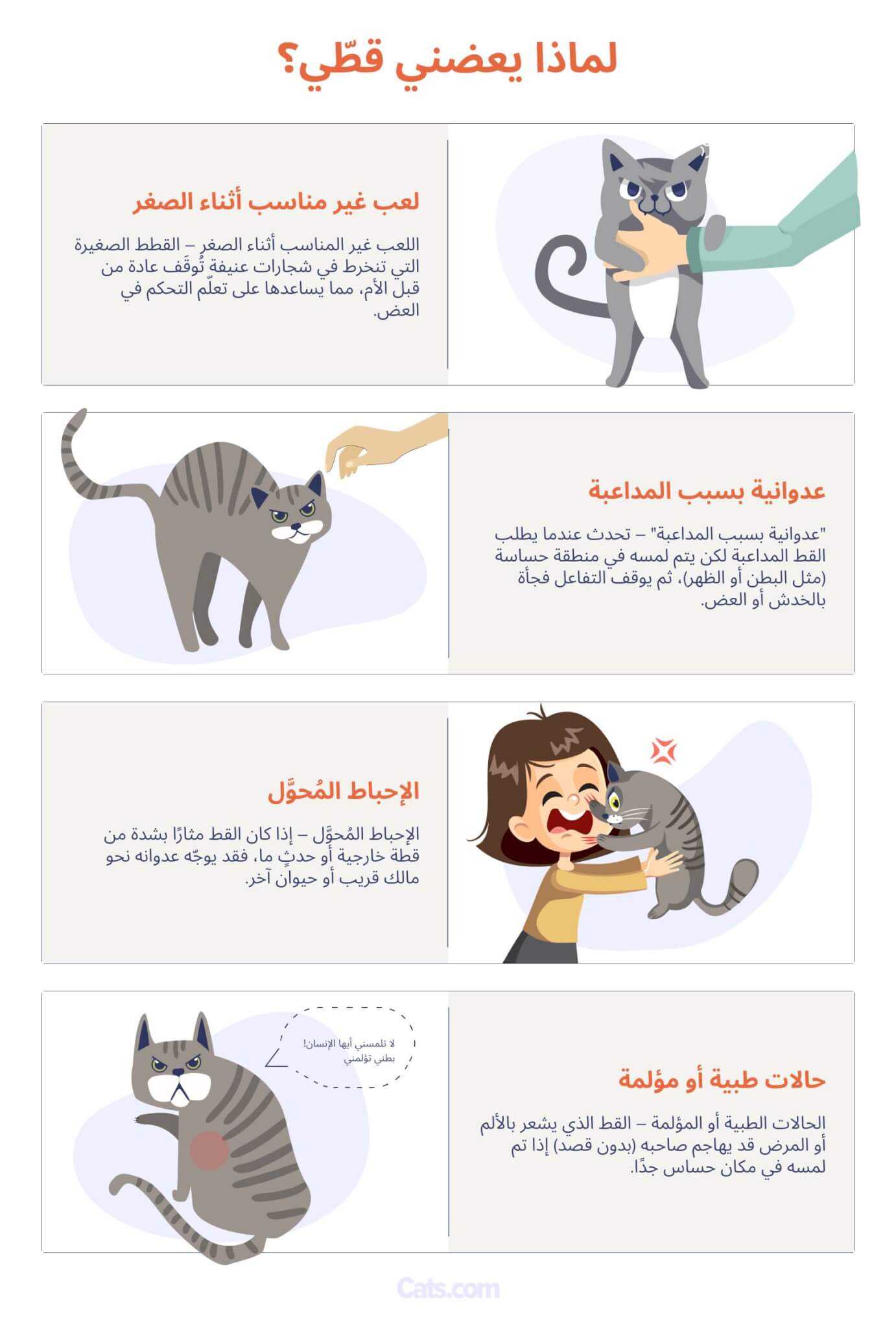 ماذا تفعل إذا عضتك قطتك؟