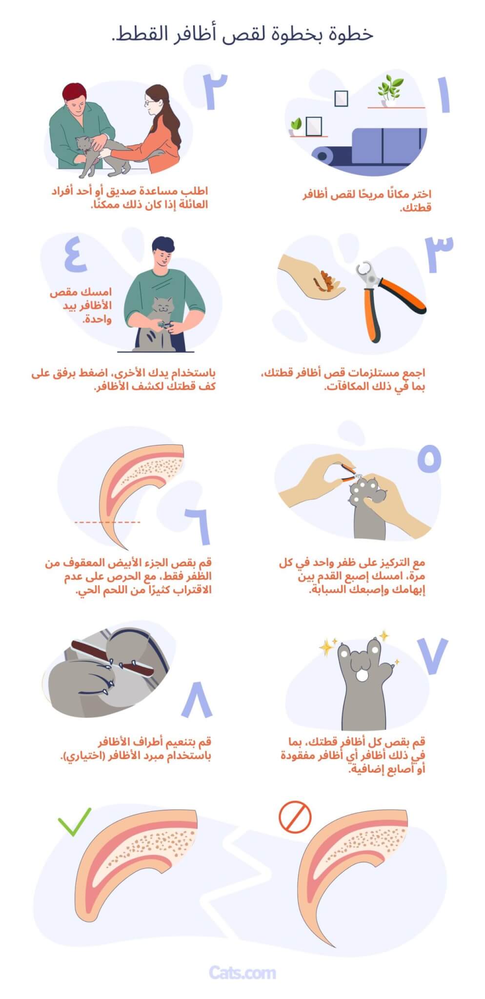 فيما يلي شرح تفصيلي لقص أظافر القطط خطوة بخطوة
