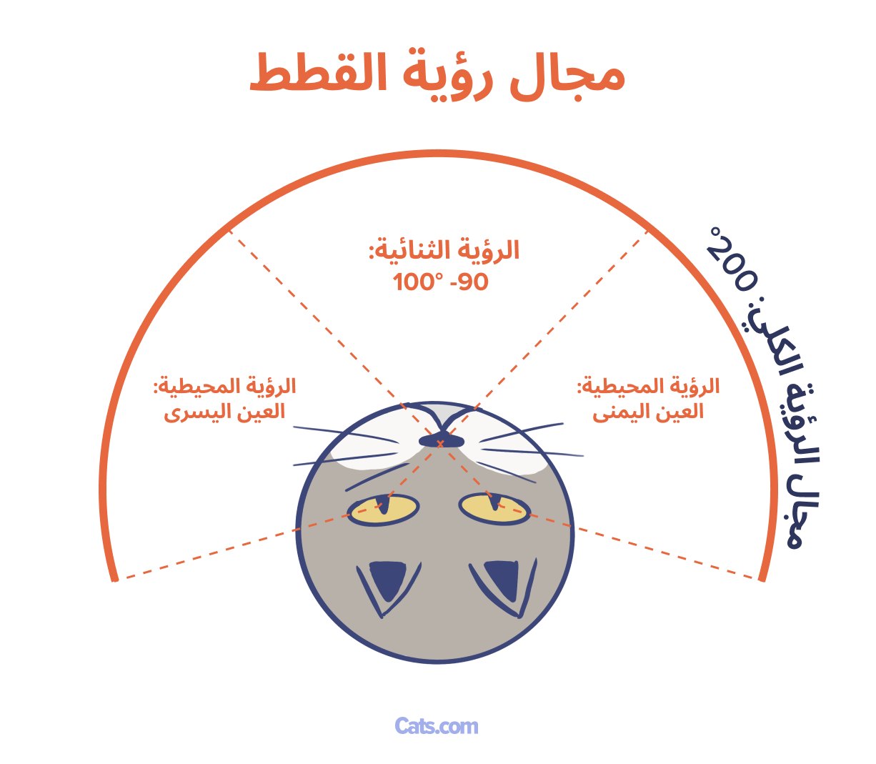 مجال الرؤية